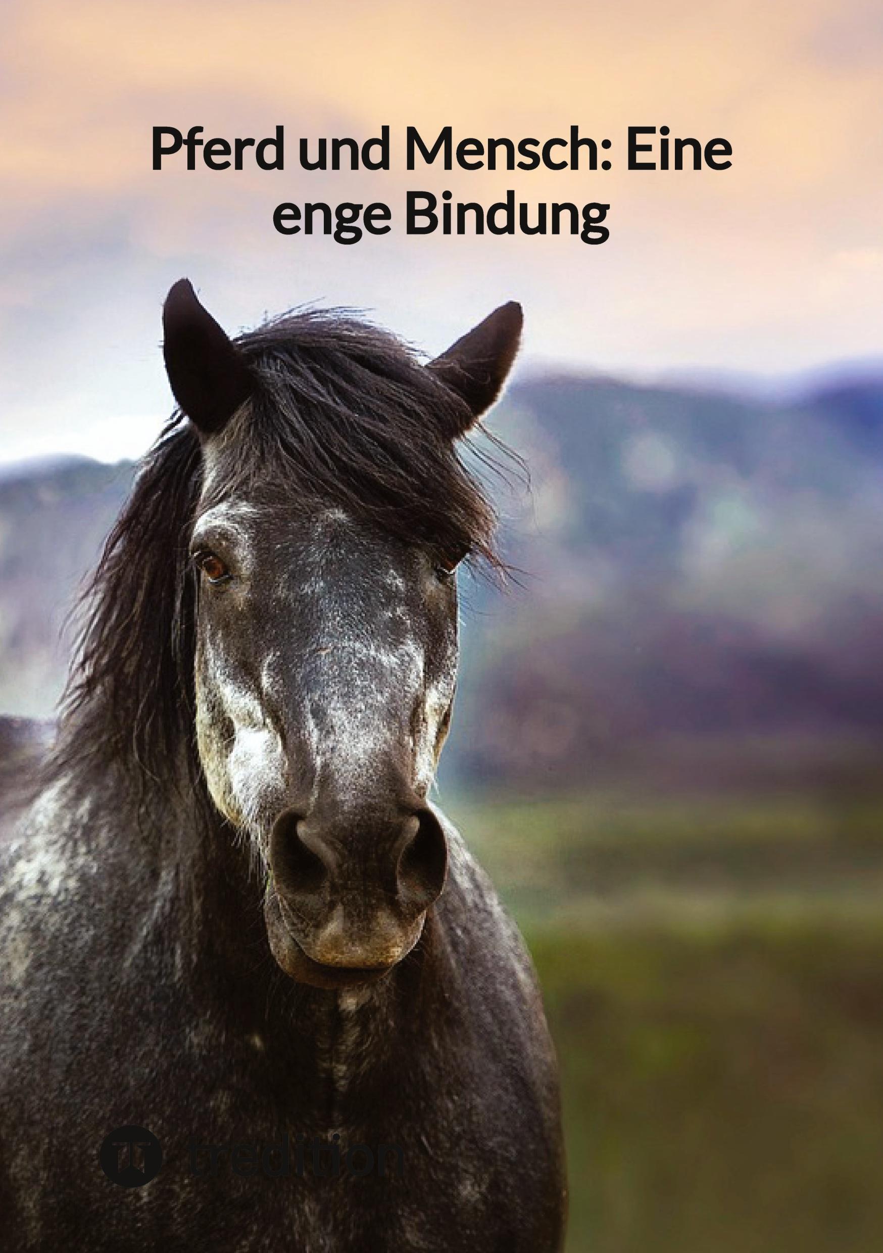 Cover: 9783347855328 | Pferd und Mensch: Eine enge Bindung | Moritz | Taschenbuch | Paperback