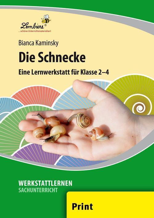 Cover: 9783869986265 | Die Schnecke (PR) | Grundschule, Sachunterricht, Klasse 2-4 | Kaminsky
