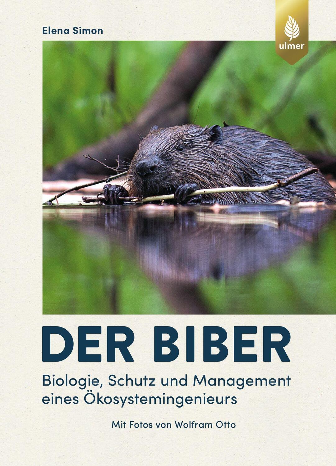 Cover: 9783818611507 | Der Biber | Biologie, Schutz und Management eines Ökosystemingenieurs