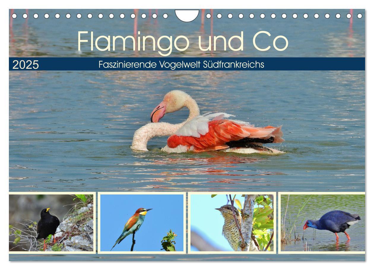 Cover: 9783383799679 | Flamingo und Co - Faszinierende Vogelwelt Südfrankreichs...
