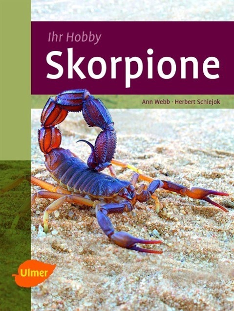 Cover: 9783800176489 | Skorpione | Ann Webb (u. a.) | Buch | Deutsch | 2014