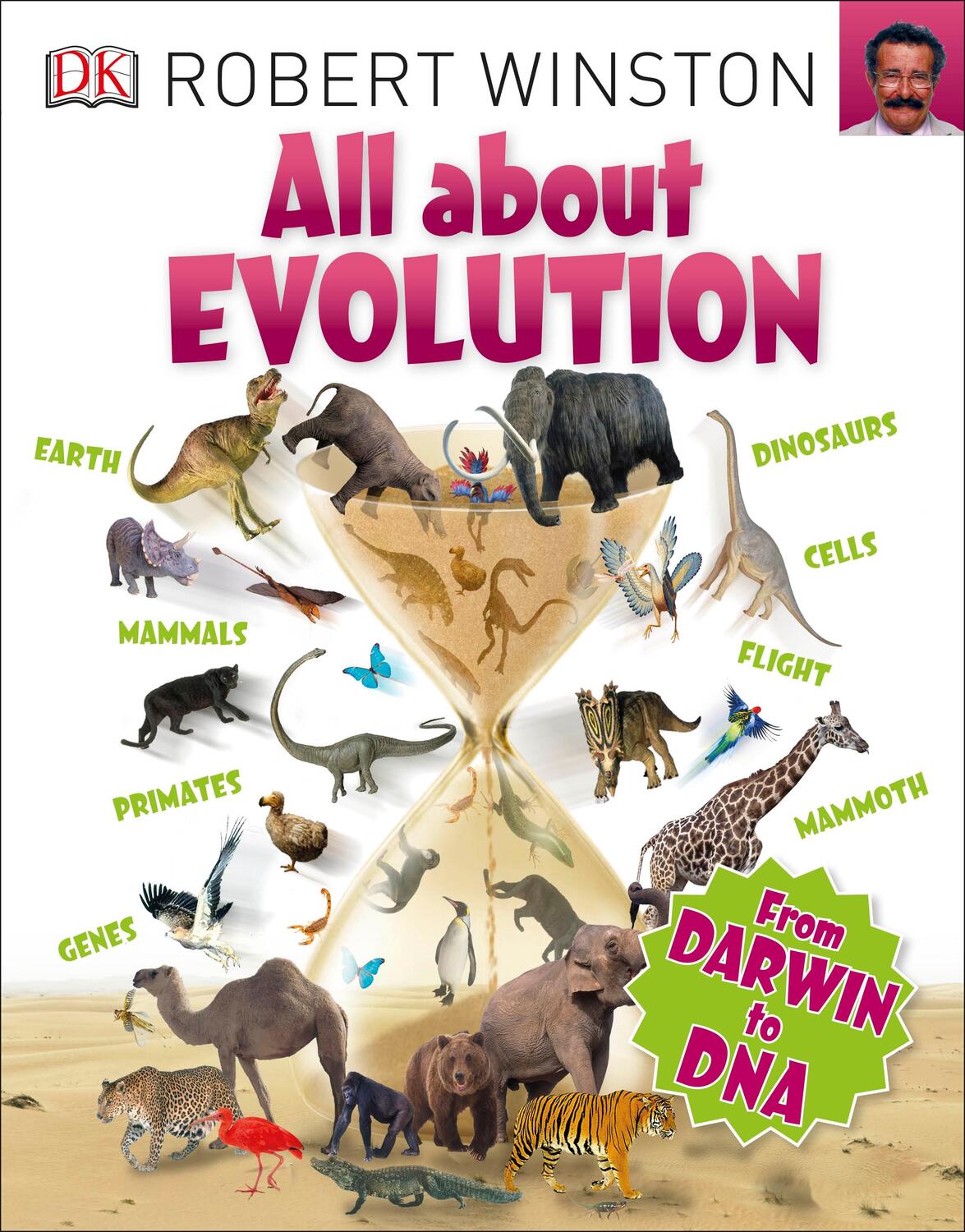 Cover: 9780241243664 | All About Evolution | Robert Winston | Taschenbuch | Big Questions