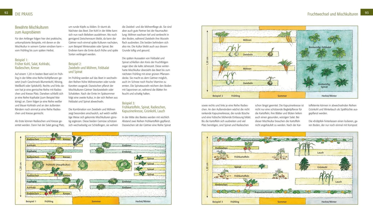 Bild: 9783835416932 | Der Biogarten | Das Original - komplett neu. Mit Videolinks im Buch