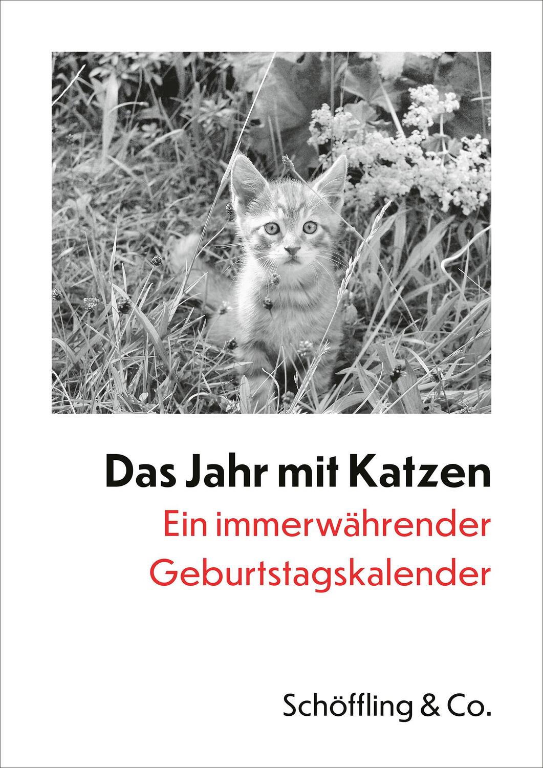 Cover: 9783895619601 | Das Jahr mit Katzen | Julia Bachstein | Kalender | LVI | Deutsch