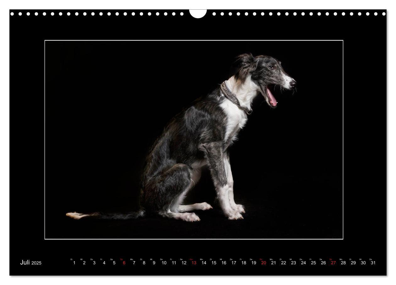 Bild: 9783435177226 | Windhunde - Schnelle Schönheiten (Wandkalender 2025 DIN A3 quer),...