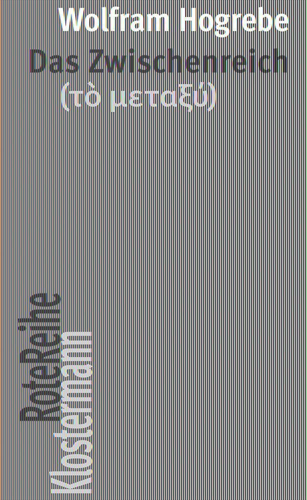 Cover: 9783465045250 | Das Zwischenreich (t¿ µeta¿¿) | Wolfram Hogrebe | Taschenbuch | 174 S.