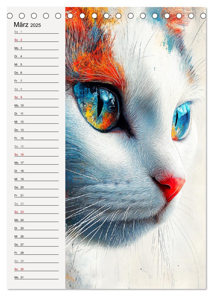 Bild: 9783457211991 | Katzenportraits. Moderne Samtpfoten-Kunst (Tischkalender 2025 DIN...