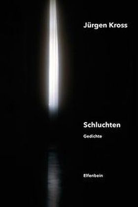 Cover: 9783941184565 | Schluchten | Gedichte | Jürgen Kross | Taschenbuch | Englisch Broschur