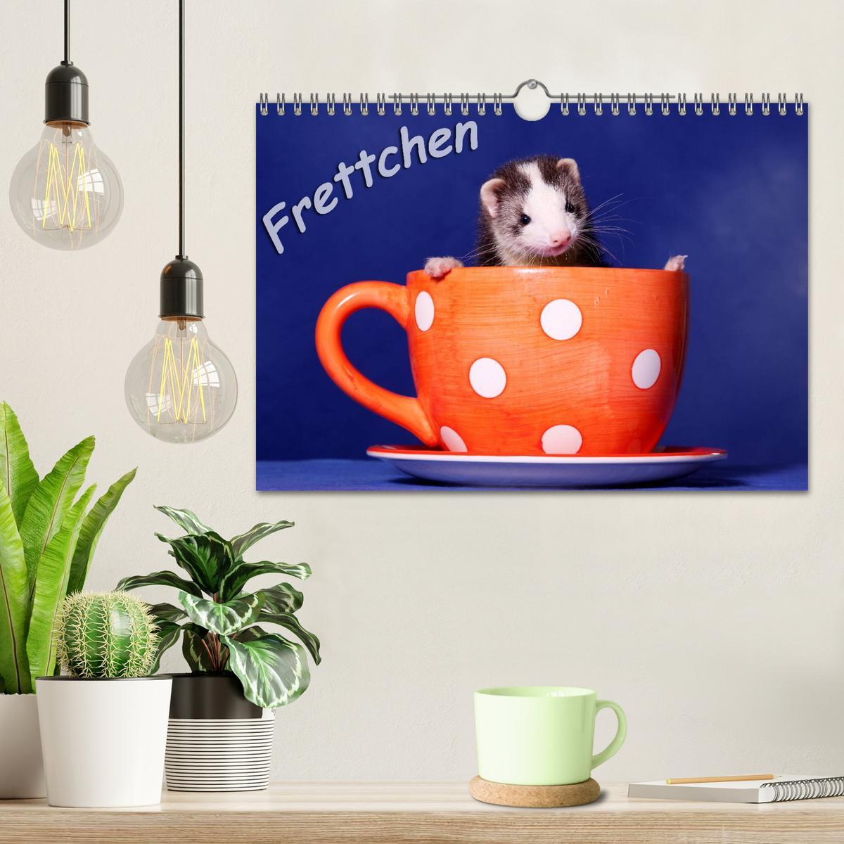 Bild: 9783435840083 | Frettchen - Ferrets (Wandkalender 2025 DIN A4 quer), CALVENDO...