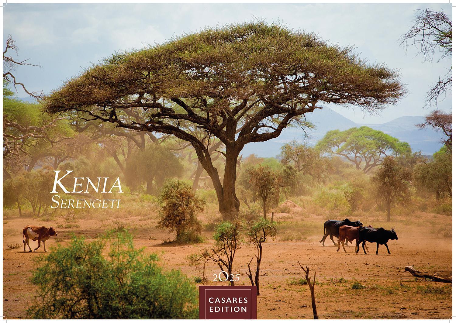 Cover: 9781835240618 | Kenia/Serengeti 2025 S 24x35 cm | Kalender | 14 S. | Deutsch | 2025