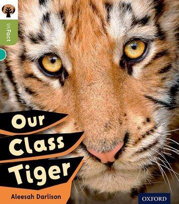 Cover: 9780198308034 | Oxford Reading Tree inFact: Level 7: Our Class Tiger | Darlison | Buch