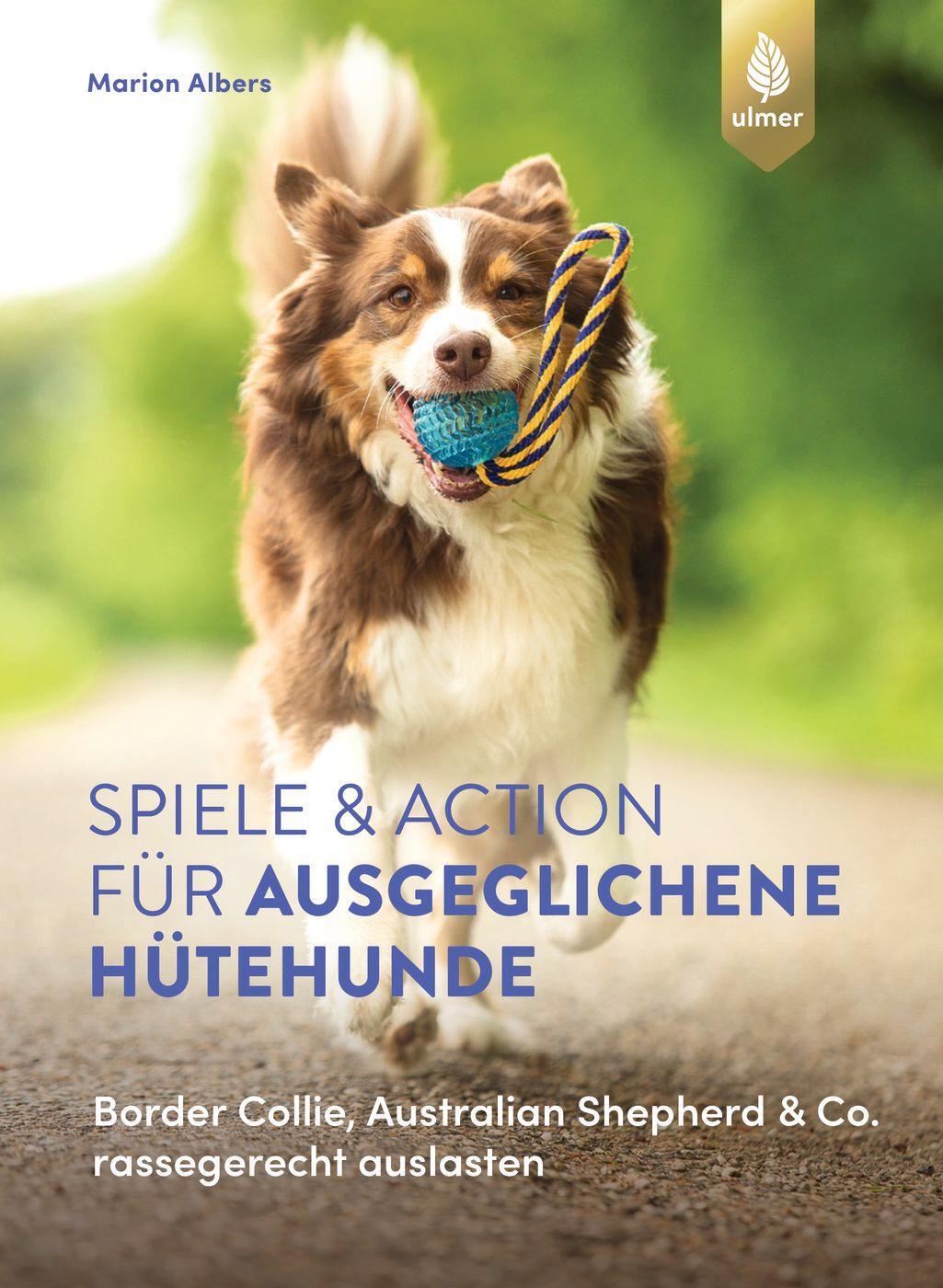 Cover: 9783818617769 | Spiele und Action für ausgeglichene Hütehunde | Marion Albers | Buch