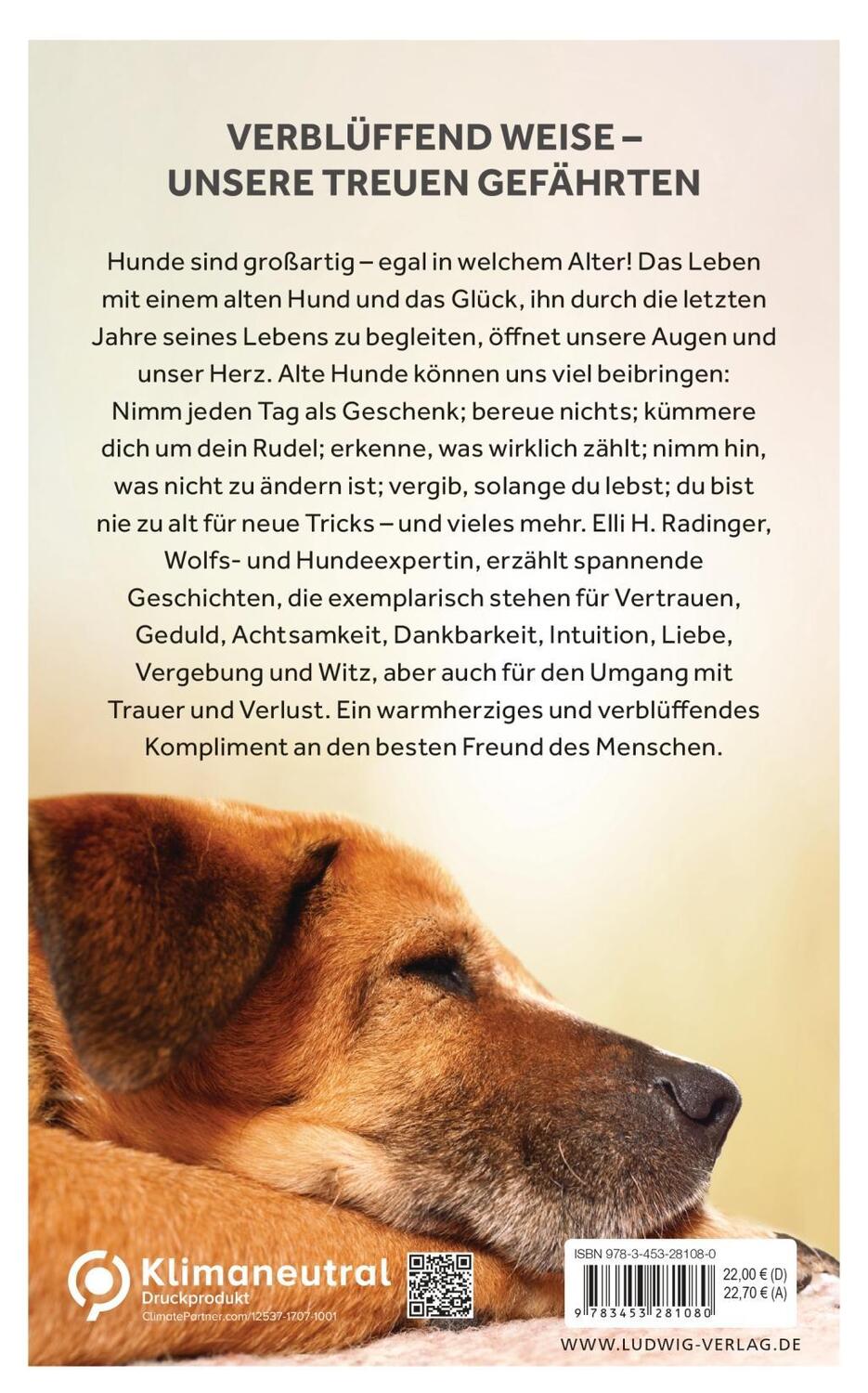 Bild: 9783453281080 | Die Weisheit alter Hunde | Elli H. Radinger | Buch | Deutsch | 2018