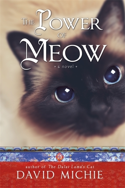 Cover: 9781781804070 | The Power of Meow | A Novel | David Michie | Taschenbuch | Englisch