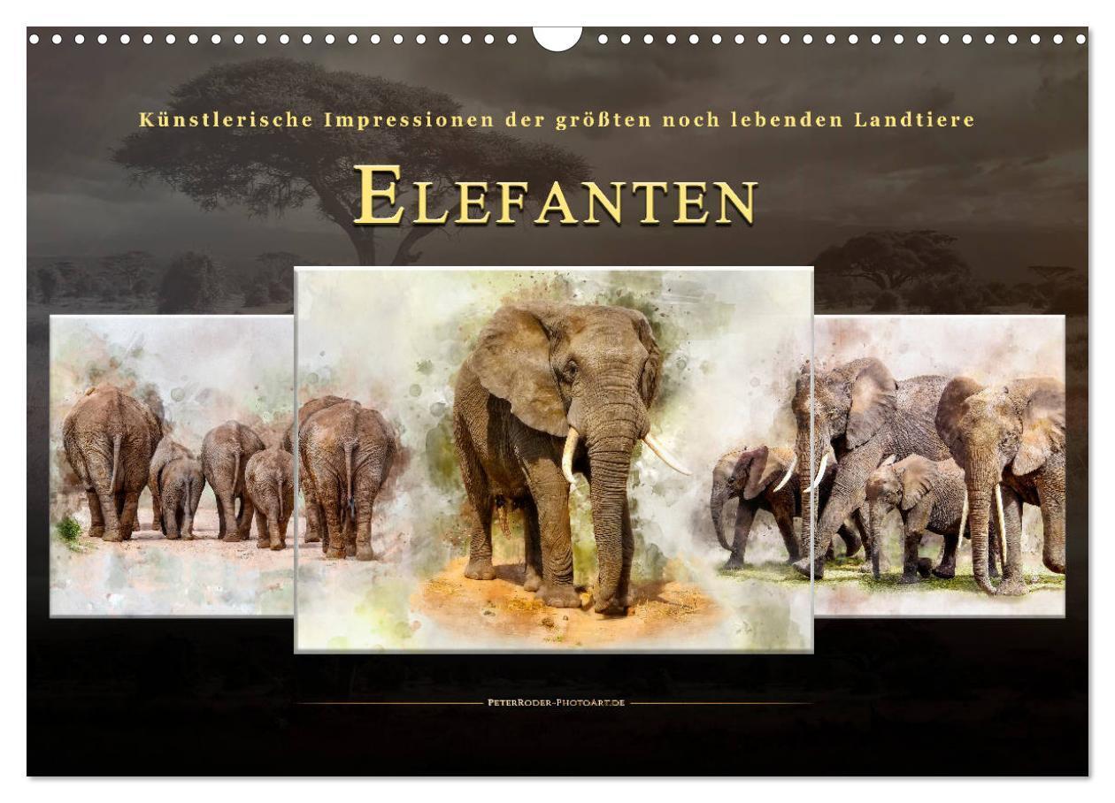 Cover: 9783675455238 | Elefanten - künstlerische Impressionen der größten noch lebenden...
