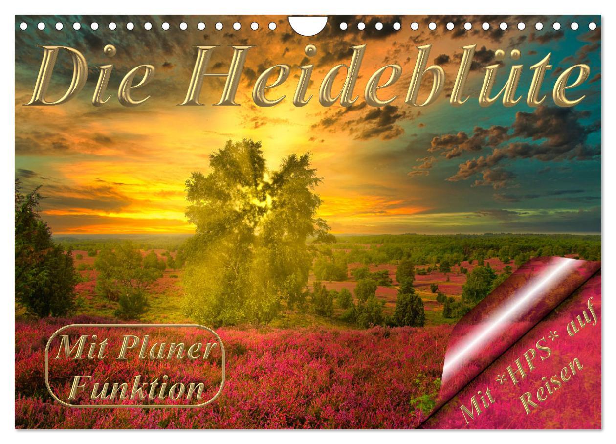 Cover: 9783435091973 | Die Heideblüte (Wandkalender 2025 DIN A4 quer), CALVENDO...