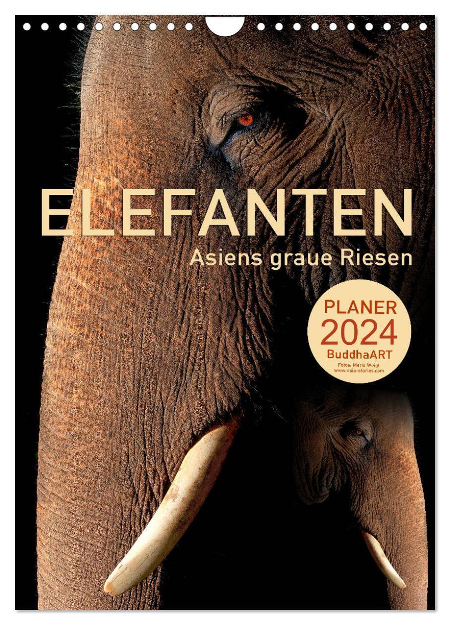 Cover: 9783675943797 | ELEFANTEN - Asiens graue Riesen (Wandkalender 2024 DIN A4 hoch),...