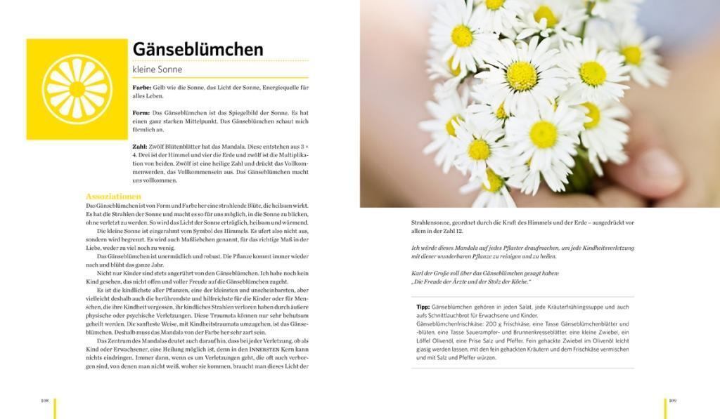 Bild: 9783710400032 | Meine Heilkräutermandalas | Johannes Pausch | Buch | Deutsch | 2014