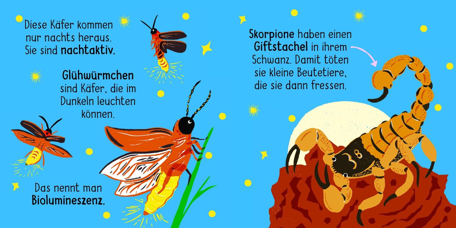 Bild: 9783411722280 | 50 Wörter über die Natur - Insekten | Buch | 32 S. | Deutsch | 2024