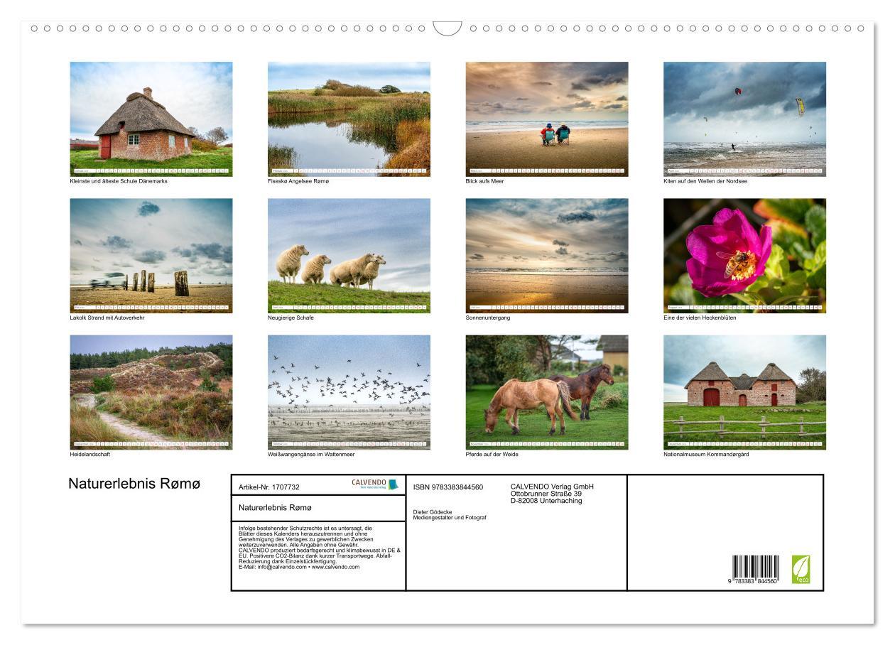 Bild: 9783383844560 | Naturerlebnis Rømø (Wandkalender 2025 DIN A2 quer), CALVENDO...