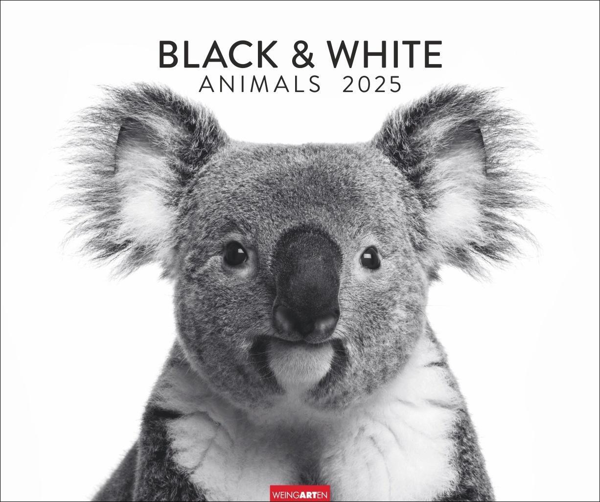 Cover: 9783839901328 | Black &amp; White Animals 2025 | Kalender | Spiralbindung | 14 S. | 2025
