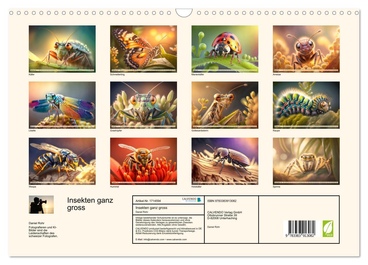 Bild: 9783383913082 | Insekten ganz gross (Wandkalender 2025 DIN A3 quer), CALVENDO...