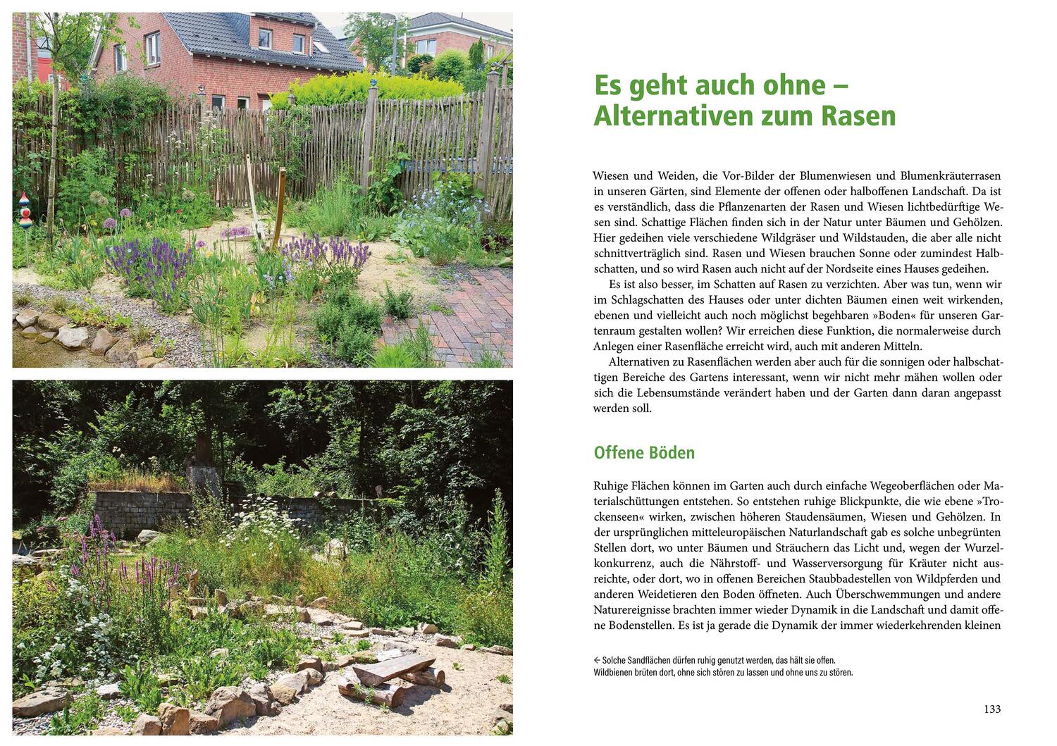 Bild: 9783895664335 | Die Rasen-Revolution | Ulrike Aufderheide | Buch | 176 S. | Deutsch