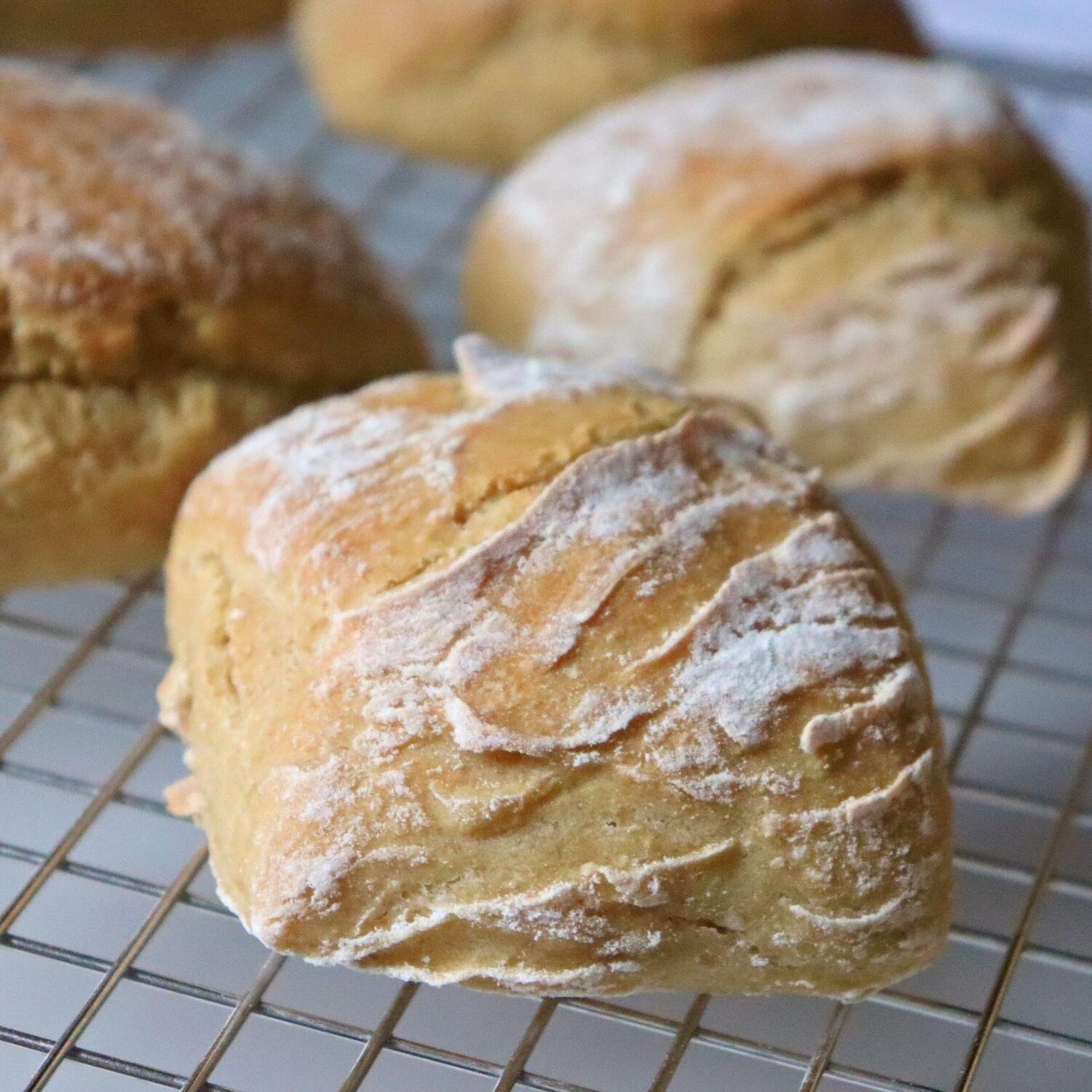 Bild: 9783982101767 | Die Wölkchenbäckerei: Festtage | Güldane Altekrüger | Taschenbuch