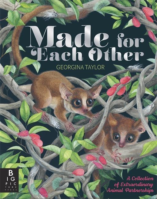 Cover: 9781787414242 | Made for Each Other | Joanna McInerney | Buch | Gebunden | Englisch