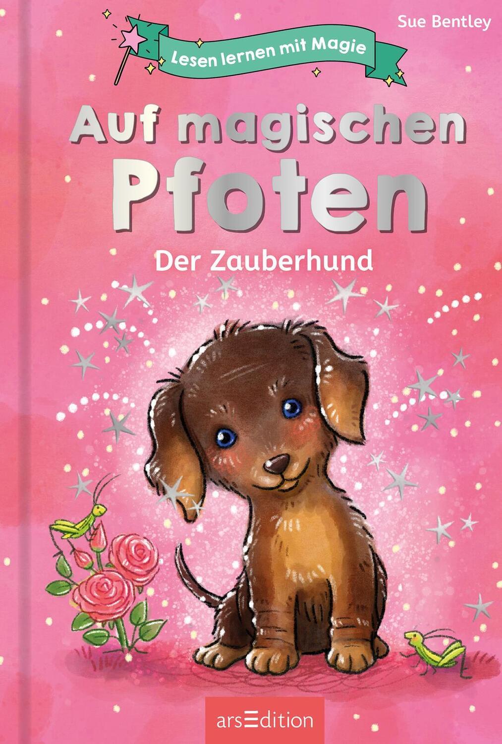 Bild: 9783845847733 | Lesen lernen mit Magie: Auf magischen Pfoten | Der Zauberhund | Buch