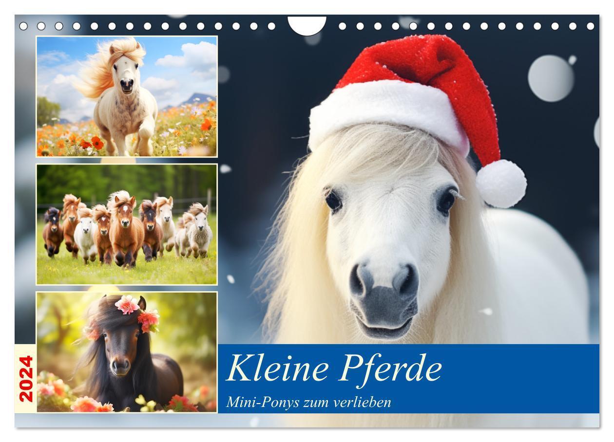Cover: 9783383757112 | Kleine Pferde. Mini-Ponys zum verlieben (Wandkalender 2024 DIN A4...