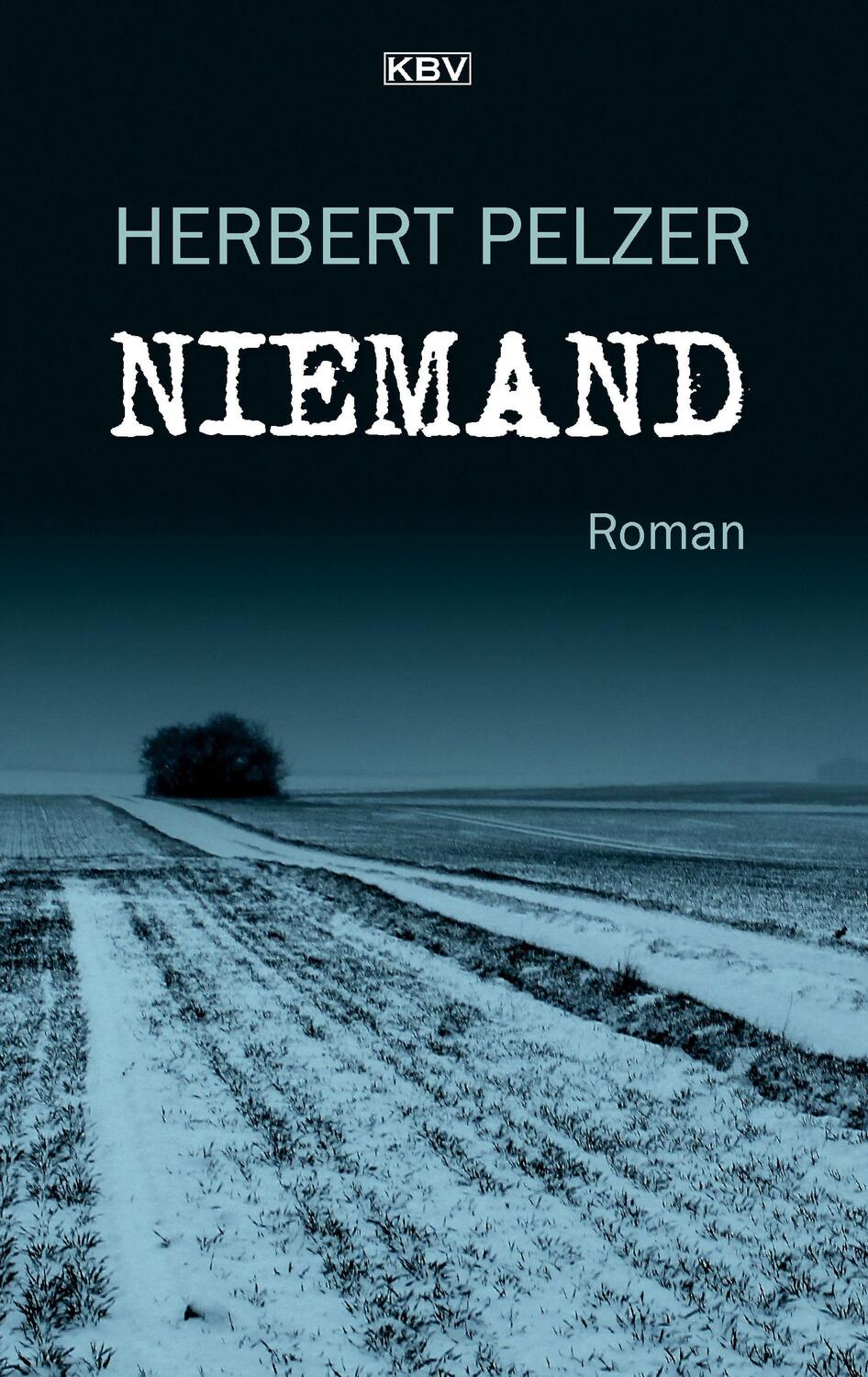Cover: 9783954416080 | Niemand | Roman | Herbert Pelzer | Taschenbuch | kbv krimi | Deutsch