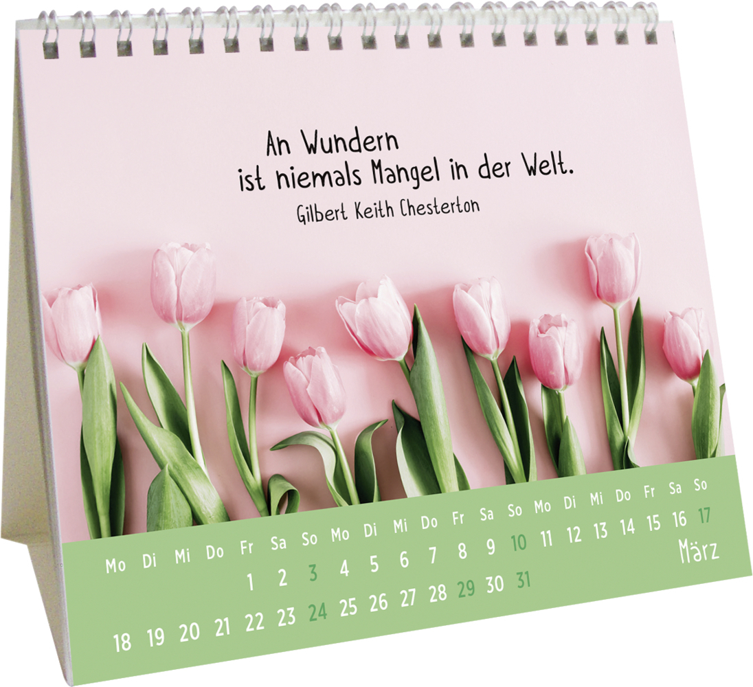 Bild: 4036442010839 | Mini-Kalender 2024: Der kleine Schutzengelkalender | Groh Verlag