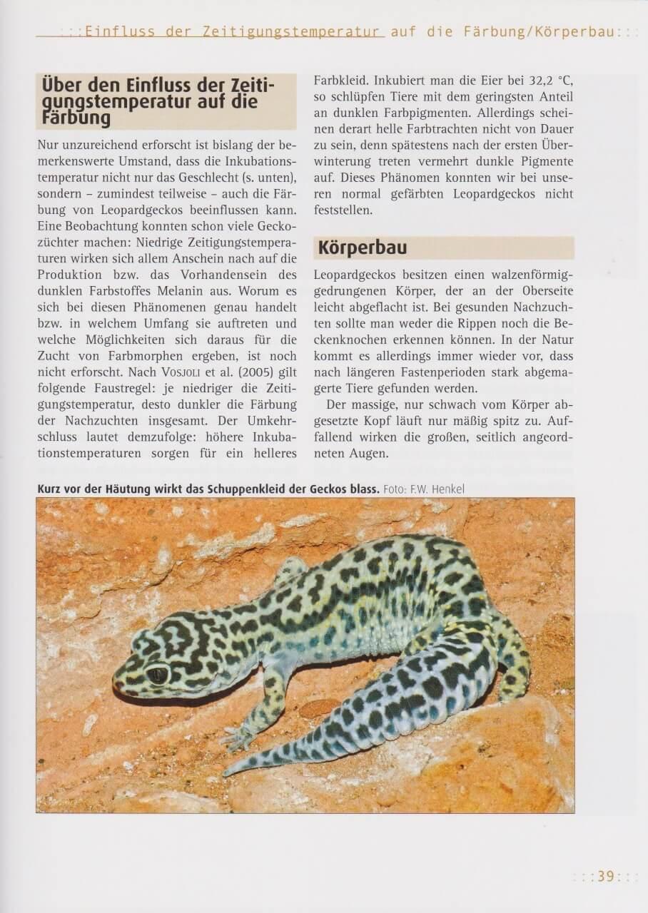 Bild: 9783866590892 | Leopardgeckos | Friedrich-Wilhelm Henkel (u. a.) | Taschenbuch | 2001