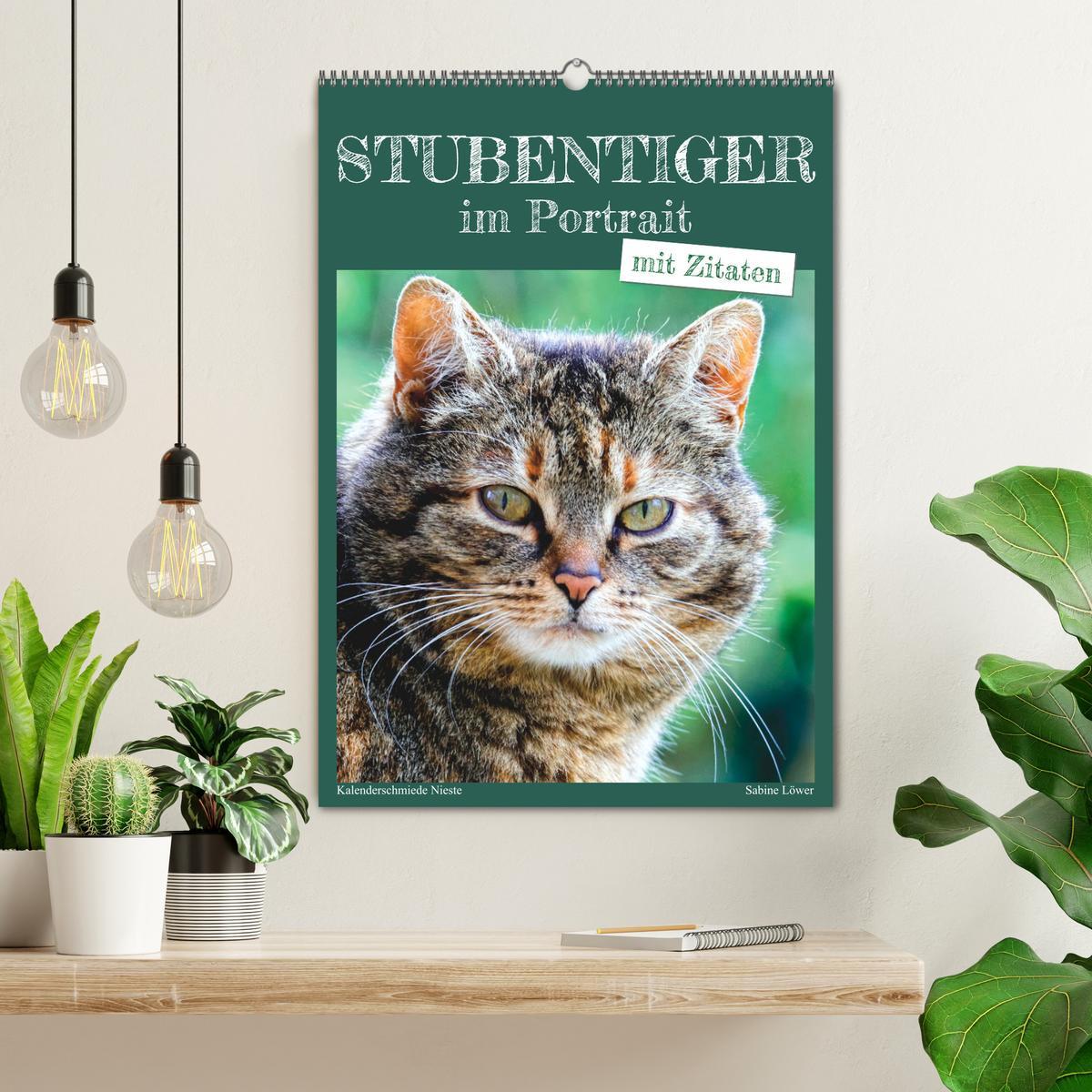 Bild: 9783435895281 | Stubentiger im Portrait (Wandkalender 2025 DIN A2 hoch), CALVENDO...