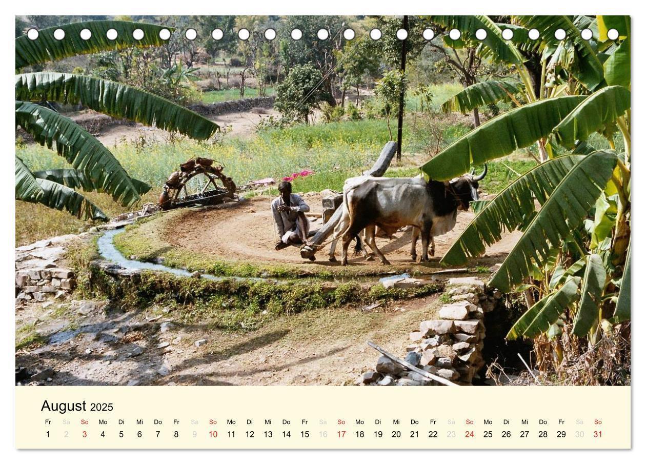 Bild: 9783435728114 | Alltagsleben in Indien (Tischkalender 2025 DIN A5 quer), CALVENDO...