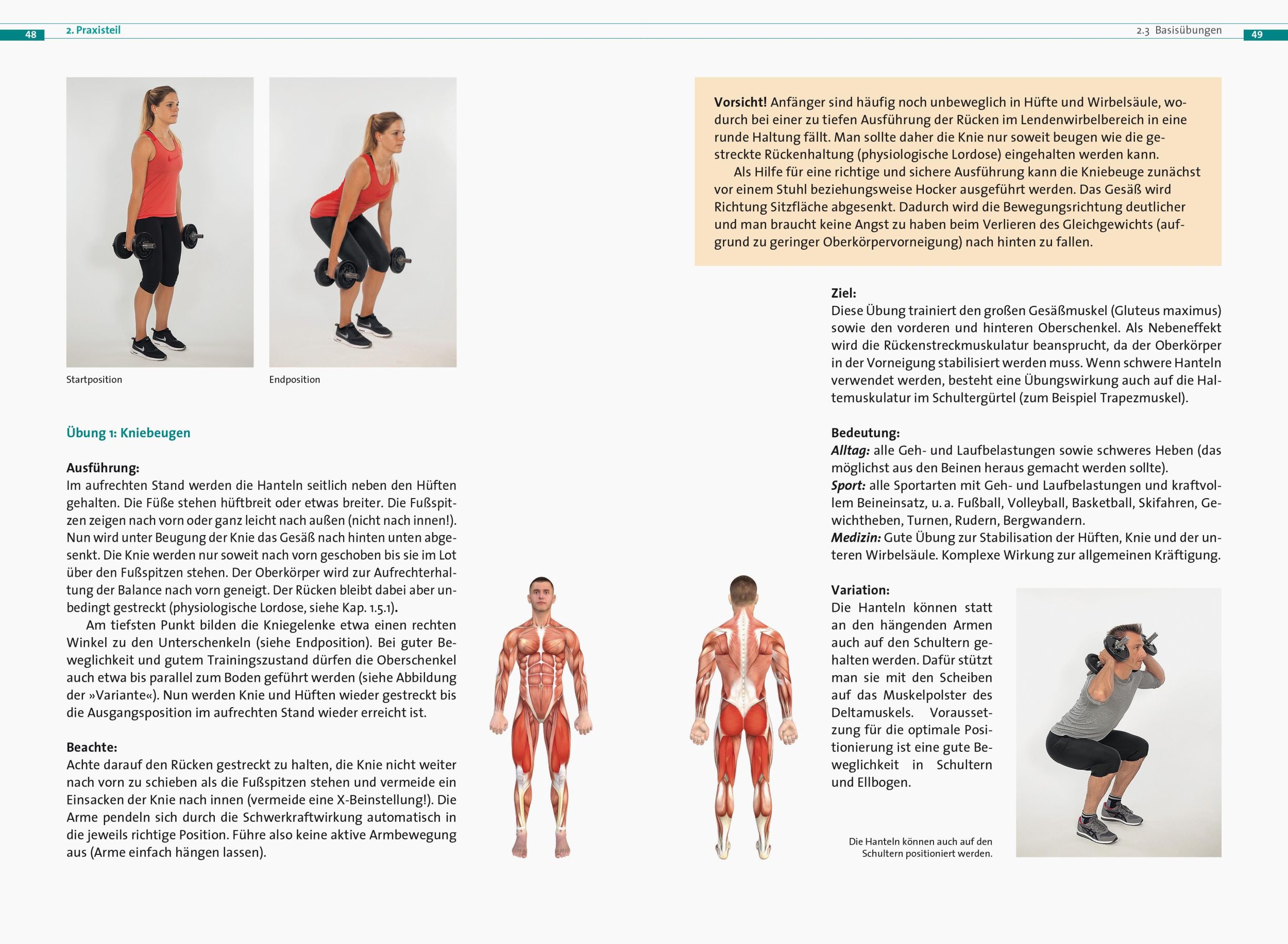 Bild: 9783767912595 | Kurzhantel-Training | Jan Pauls | Taschenbuch | 152 S. | Deutsch