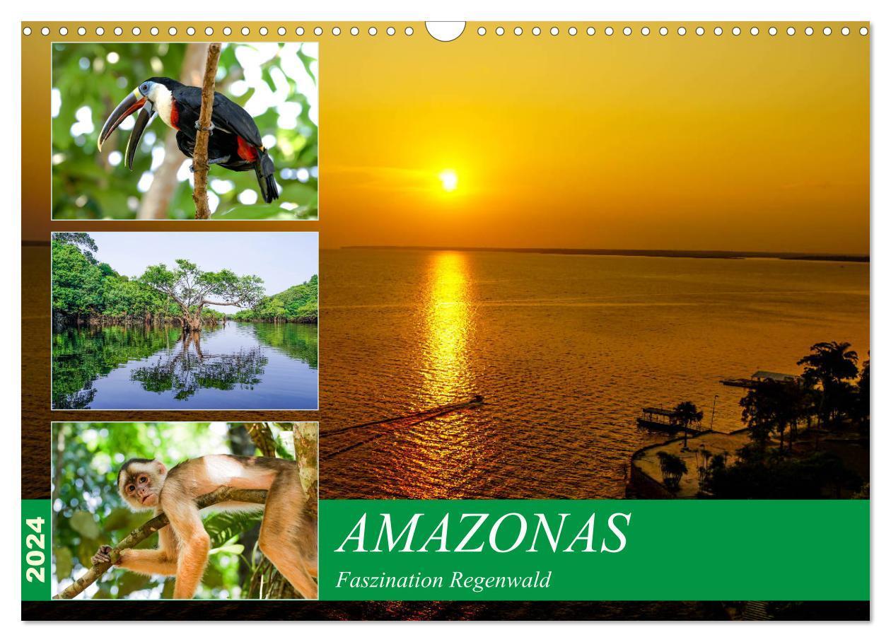 Cover: 9783675455962 | Amazonas - Faszination Regenwald (Wandkalender 2024 DIN A3 quer),...