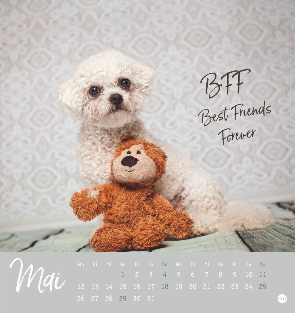 Bild: 9783756407064 | Ziemlich beste Freunde Postkartenkalender 2025 - Für immer dein | Heye