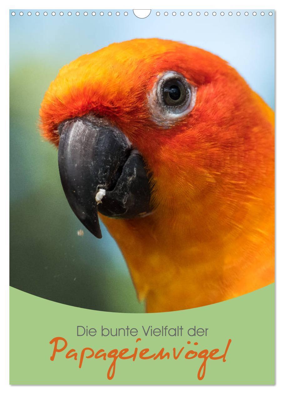 Cover: 9783383072000 | Die bunte Vielfalt der Papageienvögel (Wandkalender 2024 DIN A3...