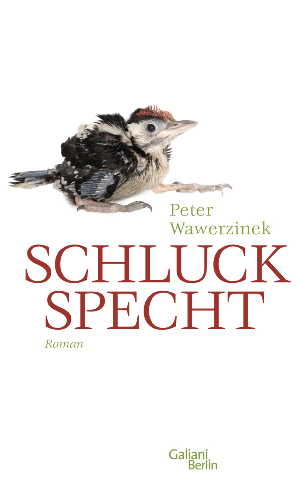 Cover: 9783869710846 | Schluckspecht | Roman | Peter Wawerzinek | Buch | Deutsch | 2014