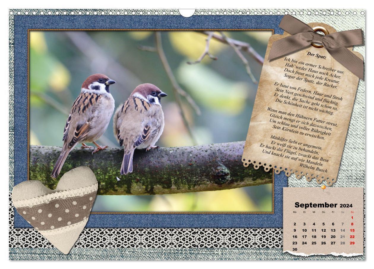 Bild: 9783675736061 | Der poetische Vogelkalender (Wandkalender 2024 DIN A3 quer),...
