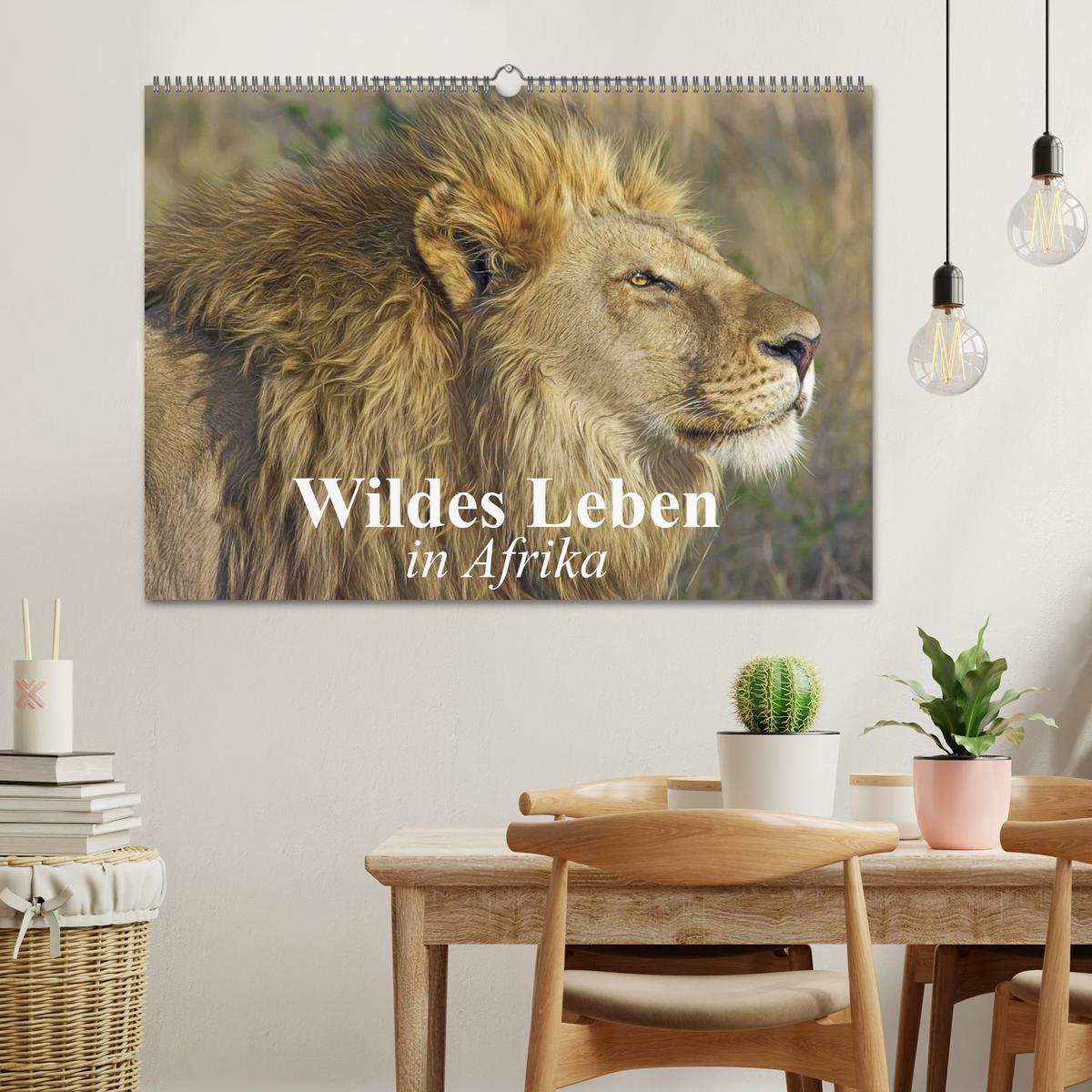 Bild: 9783435631711 | Wildes Leben in Afrika (Wandkalender 2025 DIN A2 quer), CALVENDO...