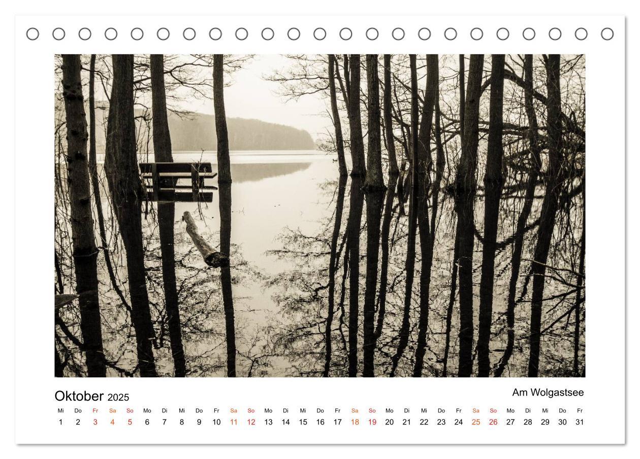 Bild: 9783435808328 | Bezauberndes Usedom (Tischkalender 2025 DIN A5 quer), CALVENDO...