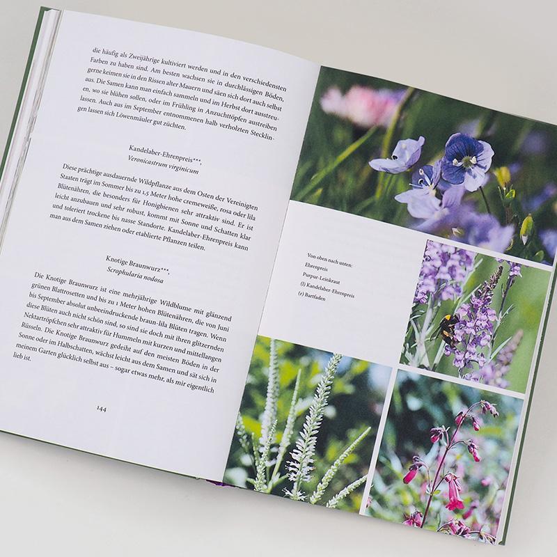 Bild: 9783446269293 | Bienenweide und Hummelparadies | Dave Goulson | Buch | 352 S. | 2021