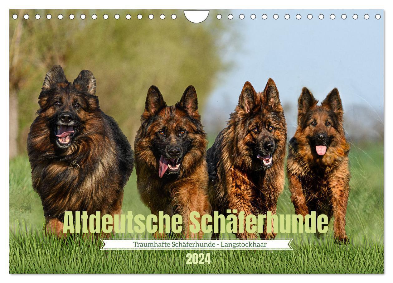 Cover: 9783383650529 | Altdeutsche Schäferhunde - Traumhafte Schäferhunde Langstockhaar...