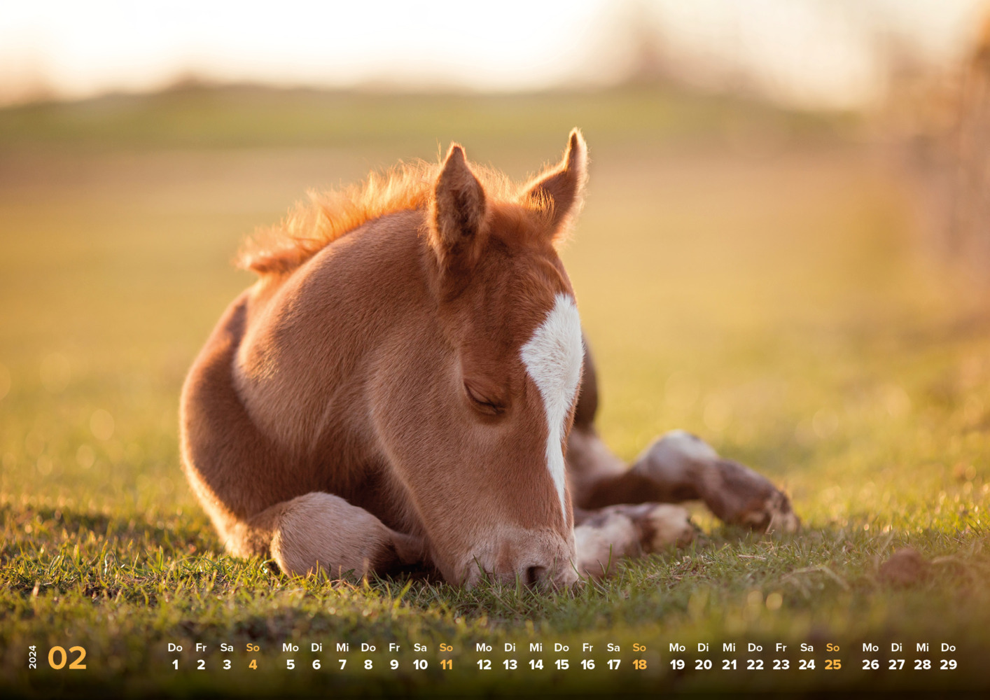 Bild: 9783832806521 | Pferde Kalender 2024 Pferdeglück! Die schönsten Pferdemotive und...