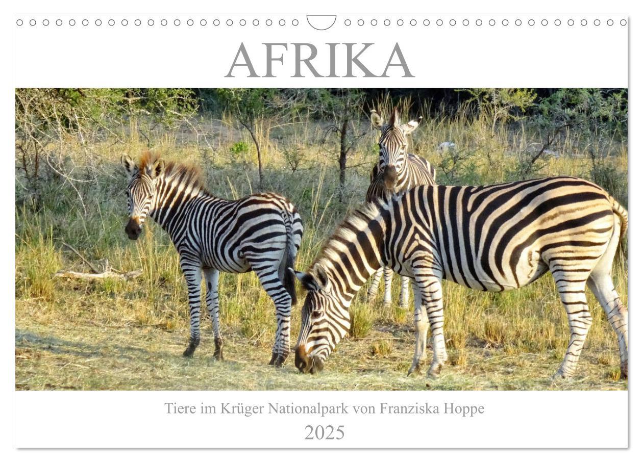 Cover: 9783435268139 | Afrika - Tiere im Krüger Nationalpark (Wandkalender 2025 DIN A3...