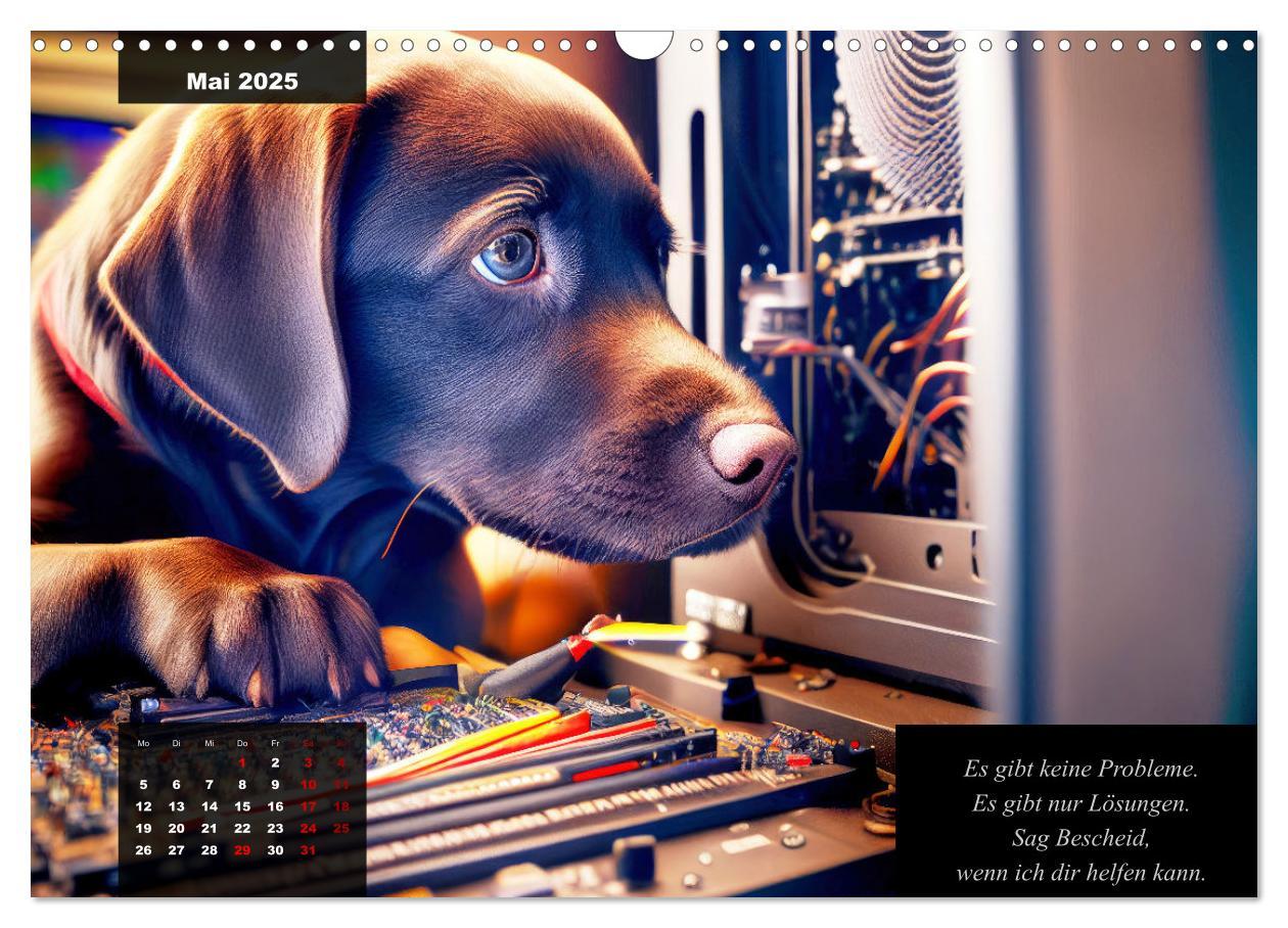 Bild: 9783435368143 | Der witzige Labrador-Kalender (Wandkalender 2025 DIN A3 quer),...