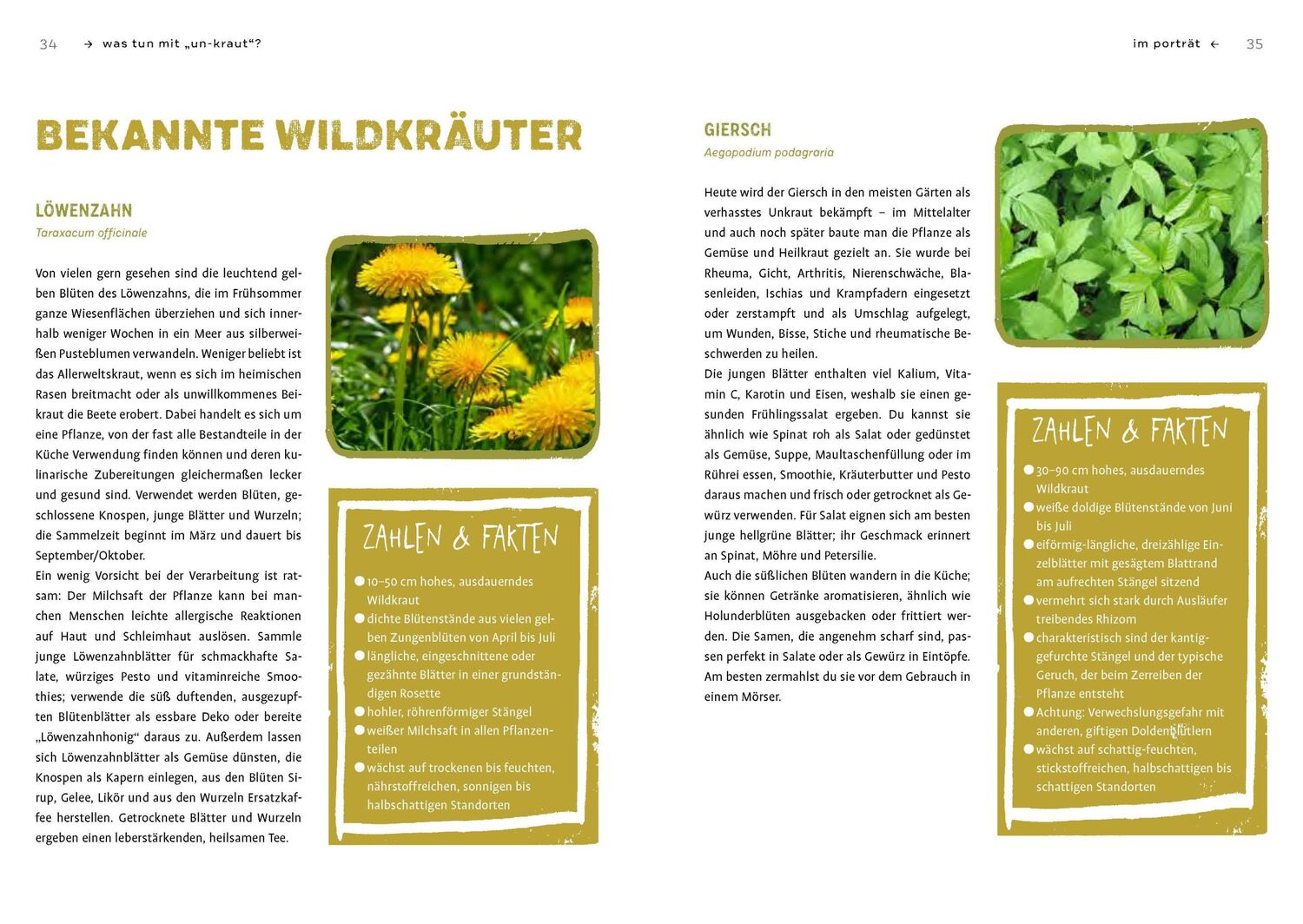 Bild: 9783818615048 | Gartenabfall gibt's nicht | Renate Hudak (u. a.) | Taschenbuch | 2022